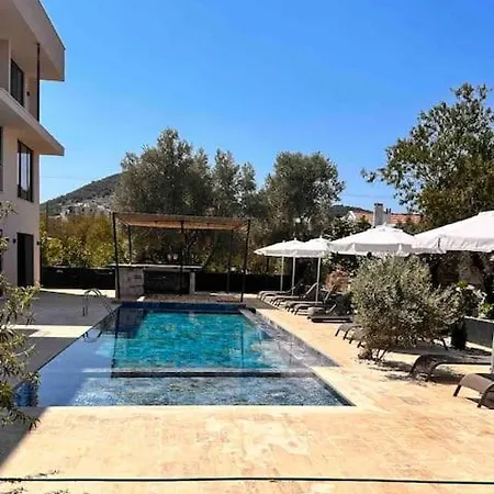 Lionyx Home&suites Rooftop מלון