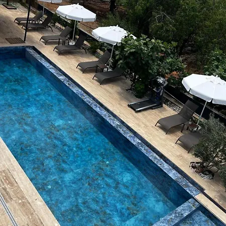 מלון Lionyx Home&suites Rooftop 3*